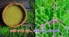 Kiran Abbavaram: అబ్బా.. కిరణ్ అన్న మాములోడు కాదు.. ఏకంగా స్టార్ హీరోనే పట్టాడుగా