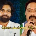 Alla Nani: వైసీపీ రాజీనామా నేతలకు జనసేన డోర్లు తెరుచుకుంటాయా ? ఆళ్ల నాని పరిస్థితి ఏంటి ?