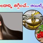 Homemade Hair Oils: జుట్టు రాలడాన్ని తగ్గించే.. హెయిర్ ఆయిల్స్ ఇవే
