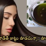 Hair Growth Tips: ఇవి వాడితే చాలు జుట్టు ఊడమన్నా.. ఊడదు