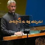 Jaishankar at UNGA: పాకిస్తాన్ కు ఇచ్చి పడేసిన ఇండియా.‌. అందరి ముందు పరువు పోయిందిగా!