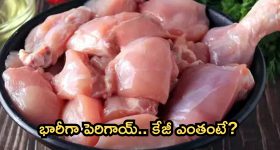 Karthi: సత్యం సుందరం సినిమాకి ఓటిటి పార్ట్నర్ ఫిక్స్