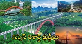 World's Tallest Bridges Guizhou: ప్రపంచంలోనే 100 ఎత్తైన వంతెనల్లో 49 ఒకే రాష్ట్రంలో.. ప్రకృతి ఒడిలో ఈ అందమైన బ్రిడ్జిలు ఒక్కసారైనా చూడాలి!