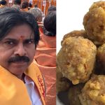 Pawan Kalyan: ఏడుకొండలవాడా, క్షమించు.. పవన్ కళ్యాణ్ కీలక నిర్ణయం, ఇక 11 రోజులపాటూ..