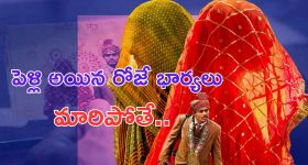 Festive Discounts: పాపులర్ సెడాన్లపై పండుగ ఆఫర్లు, వెంటనే కొనుగోలు చేస్తే రూ. లక్షకు పైగా డిస్కౌంట్!