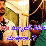 Niharika Konidela: ఇంట గెలవలేక రచ్చ గెలవడానికి రెడీ అయిన మెగా డాటర్