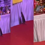 Shocking Video: ఎంతటి అద్భుతం.. గణేషుడికి నమస్కరించి మోదకం తీసుకున్న చిట్టెలుక..
