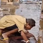 Viral Video: ఇంత కక్కుర్తిలో ఉన్నావేంట్రా.. నేలపై పారుతున్న మద్యాన్ని ఎలా తాగేశాడో చూడండి