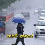 Heavy Rain: రెయిన్ అలర్ట్.. ఈ జిల్లాల్లో భారీ వర్షాలు.. కీలక సూచనలు!