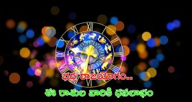 Tirumala Laddu Row: తిరుమల లడ్డూ వివాదం, విచారణ ఆపాలంటూ సుబ్బారెడ్డి పిటిషన్, సాయంత్రానికి రిపోర్ట్