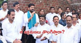 Neem Face Pack: ఈ ఫేస్ ప్యాక్‌తో మొటిమలు మాయం !