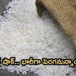  Rice Prices: సామాన్యులకు మరో షాక్.. భారీగా పెరగనున్న బియ్యం ధరలు!