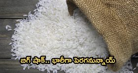  Rice Prices: సామాన్యులకు మరో షాక్.. భారీగా పెరగనున్న బియ్యం ధరలు!