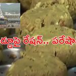 Tirumala Laddu: తిరుమల స్టేటస్ సింబల్ శ్రీవారి లడ్డూ.. ఇక దొరకడం కష్టమేనా ?