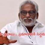 YV Subba Reddy: పెద్ద పాపమే చేశాడు.. చంద్రబాబుకు సుబ్బారెడ్డి కౌంటర్