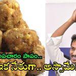 Tirumala Laddu: ఛీ, ఇంత నీచమా? ఏపీ ప్రజల సెంటిమెంట్‌పై గట్టి దెబ్బ.. వైసీపీని ఈ పాపం వెంటాడుతుందా?