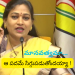 Home Minister Anitha : జగన్ ను ఆడేసుకున్న హోంమంత్రి అనిత… నాలాగా నువ్వు చెప్పగలవా ?