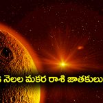Elinati Shani: మకరరాశి వాళ్లు వచ్చే ఆరు నెలలు జాగ్రత్త.. లేదంటే..?