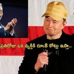 Elon Musk 1 Million dollar: డైలీ ఒకరికి రూ.8 కోట్లు ఇస్తా.. అమెరికా ఎన్నికల ప్రచారంలో మస్క్ సంచలన ప్రకటన