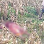Nandyal Crime News: కోరిక తీర్చలేదని.. కోడలిని చంపిన మామ.. మరీ ఇంత దారుణమా..