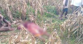 Nandyal Crime News: కోరిక తీర్చలేదని.. కోడలిని చంపిన మామ.. మరీ ఇంత దారుణమా..