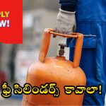 Free Gas Cylinder Scheme: మీరు ఈ తప్పులు చేస్తే.. దీపం పథకం వర్తించదు.. వివరాలన్నీ ఓసారి చెక్ చేసుకోండి!