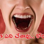 Crime News: అత్తా, కోడలి మధ్య గొడవ.. అలా కొరికేసిందేంటీ, దెబ్బకు ఊడిపడిందిగా..
