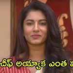 Bigg Boss 8 Telugu: నామినేషన్స్‌లో ‘పుడింగి’ గొడవ.. మెగా చీఫ్‌కు టీమ్‌తో అవసరం లేదా? మొదటిసారి విష్ణుపై పృథ్వి ఫైర్