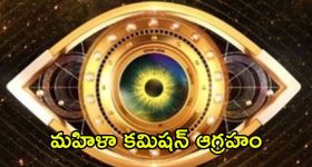 Bigg Boss 8 Telugu: వెళ్లిపోయే ముందు నిఖిల్‌పై ప్రేమను బయటపెట్టిన సీత.. అందరి ముందు డైరెక్ట్ ప్రపోజల్