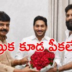 Perni Nani: నా వెంట్రుక కూడ పీకలేరు.. కోసి కారం పెట్టండి.. మాజీ మంత్రి నాని సెన్సేషనల్ కామెంట్స్