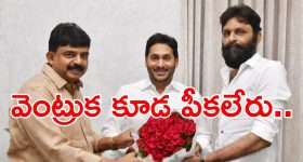 Katrina Kaif: ఫెస్టివల్ హంగమా, కత్రినా శారీ రేటు ఎంతో తెలుసా?