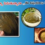 Henna For Hair: జుట్టుకు హెన్నా పెడుతున్నారా ?  ఈ పొరపాట్లు అస్సలు చేయకండి