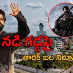 Devara : ఏపీలో తారక్ బలం చూపించబోతున్నారా.. సక్సెస్ మీట్‌ ఉద్దేశ్యం ఇదేనా..?