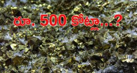 Narsingi: నార్సింగిలో బంగారు గని..?