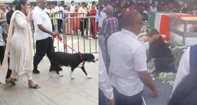 Ratan Tata Dog: నీ వెంటే నేనుంటా.. టాటా అంత్యక్రియల్లో పాల్గొన్న పెంపుడు కుక్క గోవా.. కన్నీళ్లు ఆగవు