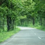 Telangana Govt: కీలక నిర్ణయం తీసుకున్న ప్రభుత్వం.. రాష్ట్రంలోని 92 నియోజకవర్గాల్లో..