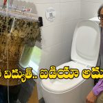 South Korean Professor: మలంతో మనీ.. ఈ కొరియన్ ప్రొఫెసర్ ఐడియాకు హ్యాట్సాఫ్.. ఇక టాయిలెట్‌లోనే ఎనర్జీ పుట్టించవచ్చు!