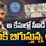 CID Takes TDP Attack Case: సిఐడీ చేతికి టీడీపీ ఆఫీసుపై దాడుల కేసులు.. విచారణ వేగవంతం