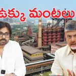 Vizag Steel Plant Issue: కూటమి నేతలకు విశాఖ టెన్షన్