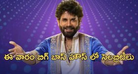 Bigg Boss 8 Telugu : ఈ వీక్ సెలబ్రెటీల రచ్చ... హౌస్ లో సందడి చేయనున్న స్టార్స్ వీళ్ళే