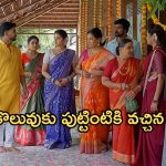 Satyabhama Today Episode: బొమ్మల కొలువుకు వచ్చిన నందిని .. హర్షను ట్రాప్ చెయ్యాలనే ఆలోచన మైత్రి .. రుద్ర ప్లాన్ వర్కౌట్ అయ్యేనా ?