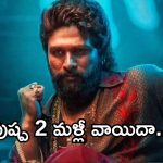Pushpa 2 : పుష్ప 2 షూటింగ్ పెండింగ్.. మళ్ళీ వాయిదా కన్ఫర్మ్..?