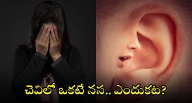 Mental Health: ఆ వ్యాధి ఉన్న వారిలో చెవిలో రకరకాల గుసగుసలు ఎందుకు వినిపిస్తాయి?