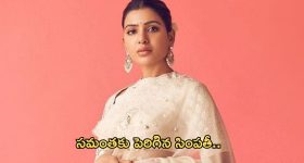 Samantha : ఆ వ్యాఖ్యలు బాధకరమే... కానీ, సామ్‌కి ప్లస్ అయ్యాయా...?