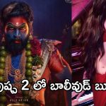 Pushpa2 : పుష్ప 2 లో బాలీవుడ్ బ్యూటీ.. నీ అవ్వ అస్సలు తగ్గేదేలే..