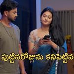 Satyabhama Serial Today Episode : ఇంట్లో రచ్చ చేసిన నందిని.. సత్య పుట్టినరోజు కనుక్కున్న క్రిష్.. శోభనంకు రెడీ..