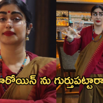 Star Heroine : గుర్తు పట్టలేనంతగా మారిపోయిన హాట్ బ్యూటీ..లేటెస్ట్ లుక్ వైరల్..