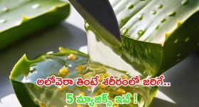 Aloe Vera: అలోవెరా తింటే శరీరంలో జరిగే 5 మ్యాజిక్స్ ఇవే !