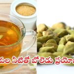 Cardamom Water: యాలకుల నీటితో ఈ సమస్యలన్నీ దూరం
