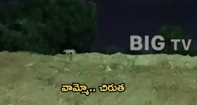 Hyderabad: మియాపూర్‌లో చిరుత సంచారం.. హైదరాబాద్ వాసుల్లో భయం భయం!